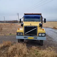 ولووتوپ طلا|خودرو سنگین|بناب, |دیوار