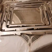 سینی سیلور|ظروف سرو و پذیرایی|رشت, کاکتوس|دیوار