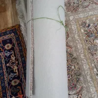 پالاز موکت پرز بلند|موکت|اردبیل, |دیوار