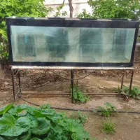 آکواریوم بزرگ