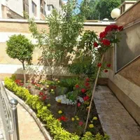 باغبانی و درختکاری (سم پاشی )|خدمات باغبانی و درختکاری|تهران, ونک|دیوار