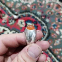 نقره|جواهرات|تهران, فلسطین (میدان انقلاب)|دیوار