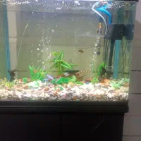 آکواریوم 150لیتری شرکتی