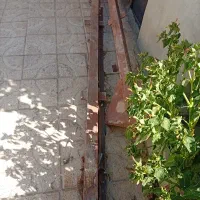 بادشکن