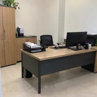 منشی خانم