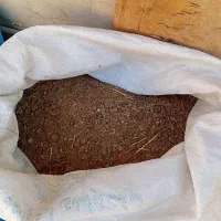 کود کوسفندی