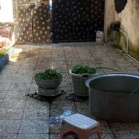 سبزی خورد شده و سرخ شده وغیره