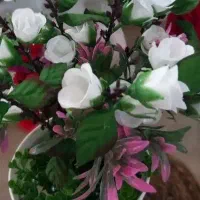 قرعه ۱۵۰ملیونی(خانگی)