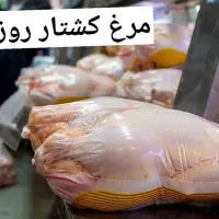 غذای شرکتی، پرسنلی کارگری و مجالس با کیفیت تضمینی|خدمات پذیرایی، مراسم|تهران, وردآورد|دیوار