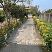 ویلا باغ سلطنتی سند تک برک|فروش خانه و ویلا|پره‌سر, |دیوار