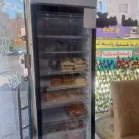 فریزر صنعتی