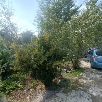 ویلای ۵۰۰متری سند تک برگ|فروش خانه و ویلا|رضوانشهر, |دیوار