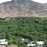 زمین در روستای میم