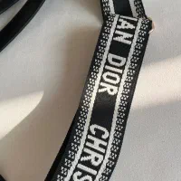 کیفDior|کیف، کفش، کمربند|کرج, گوهردشت|دیوار