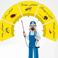 خدمات سمپاشی سم پاشی منزل تمامی حشرات