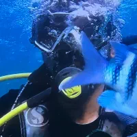 غواصی vip کیش