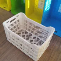 ۲۰ کیلویی پرتقال