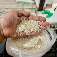 برنج هاشمی اصل معطر /مستقیم از شالیزار خودمون