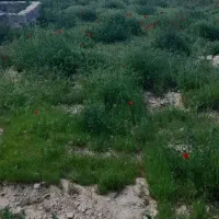 فروش-زمین-ویلایی-دهنه-اخلمد