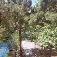 ویلایی دربستی/300مترشریعتی/4خواب/دفترکار|اجارهٔ خانه و ویلا|اصفهان, سیچان|دیوار