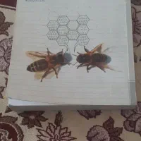 کتاب ۳۱ استان