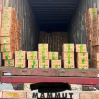 ذغال میسکال ۷