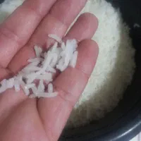 برنج محصول شمال طارم هاشمی پخش از تهران|خوردنی و آشامیدنی|تهران, فلاح|دیوار