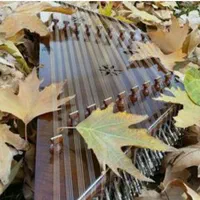 آموزش تخصصی سنتور