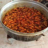 کترینگ و غذای آماده اسکندری