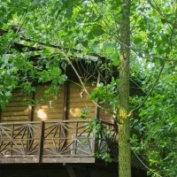 ملکی خاص در دل جنگل