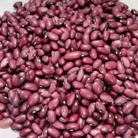 لوبیا قرمز درجه ۱