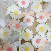 گیفت عقد و عروسی بله برون شمع