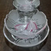 ظروف پذیرایی