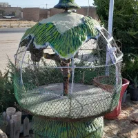 قفس پرنده