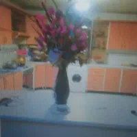 فروش ی واحد مسکونی در گلباف|فروش خانه و ویلا|گلباف, |دیوار