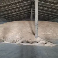 منشی و بازاریابی در کار غلات و خوراک دام و طیور|استخدام اداری و مدیریت|لنگرود, |دیوار