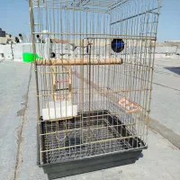 قفس پرنده بزرگ سالم