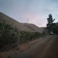 باغچه-پنج-کیلومتری-اتوبان-همت