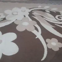 گلیم فرش سالم سالم قیمت ۵۰۰