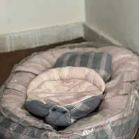 آغوشی و گارد محافظ نوزاد|اسباب و اثاث بچه|مشهد, بهشت|دیوار