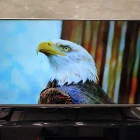 تلویزیون ۴۹ اینچ LG ال ای دی 49LF55000GI|تلویزیون و پروژکتور|ساوه, |دیوار