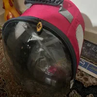 باکس سگ نوعه نوعه