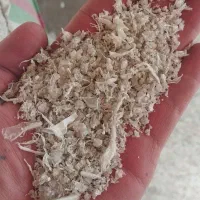 کندوری عسلی روشن  گرانول هاش مشکی|عمده‌فروشی|کرج, گلشهر|دیوار