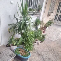 رهن کامل مسکن مهر