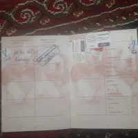 سگ خانگی|سگ|اسلام‌‌آباد غرب, |دیوار