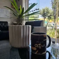 140متری پیش فروش گلستان