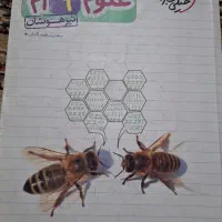 علوم نهم
