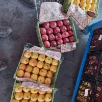 به کارگر سیب چین در هشترود نیازمندیم