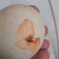 سنگ آسیاب فروشی با شهاب سنگ|جواهرات|تهران, افسریه جنوبی|دیوار