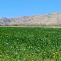 زمین-مسکونی